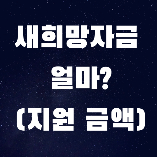 소상공인 새희망자금 얼마? (지원 금액)