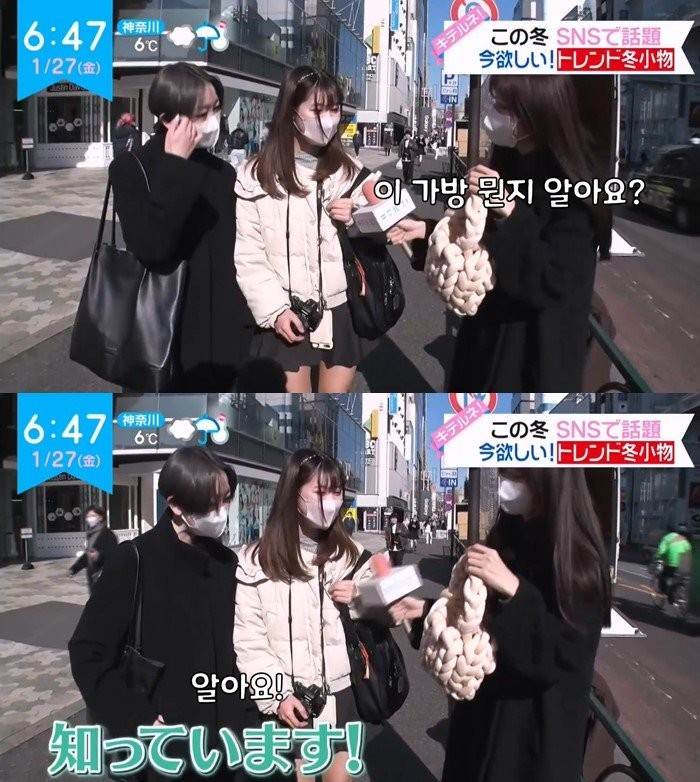자이언트얀 일본어로 (&영어로) 뭐라고해? (일본에서 유행할까?)
